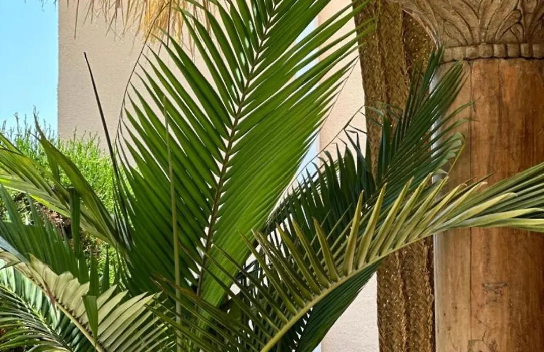 Luxury B&B Villa Tauro-1